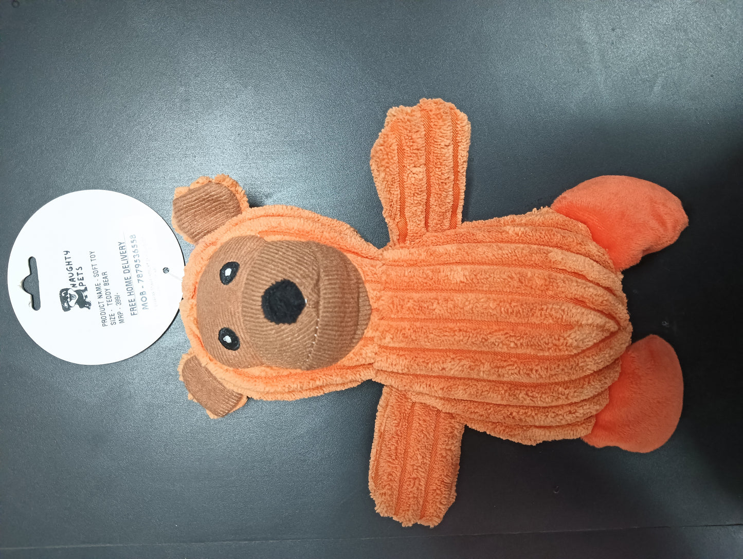 Soft Sound Toy ( Teddy bear)