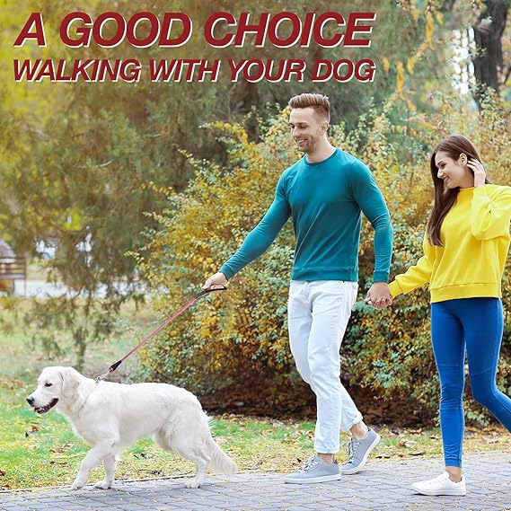 Dog Leash Medium Size