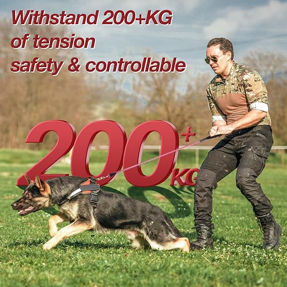 Dog Leash Large Size
