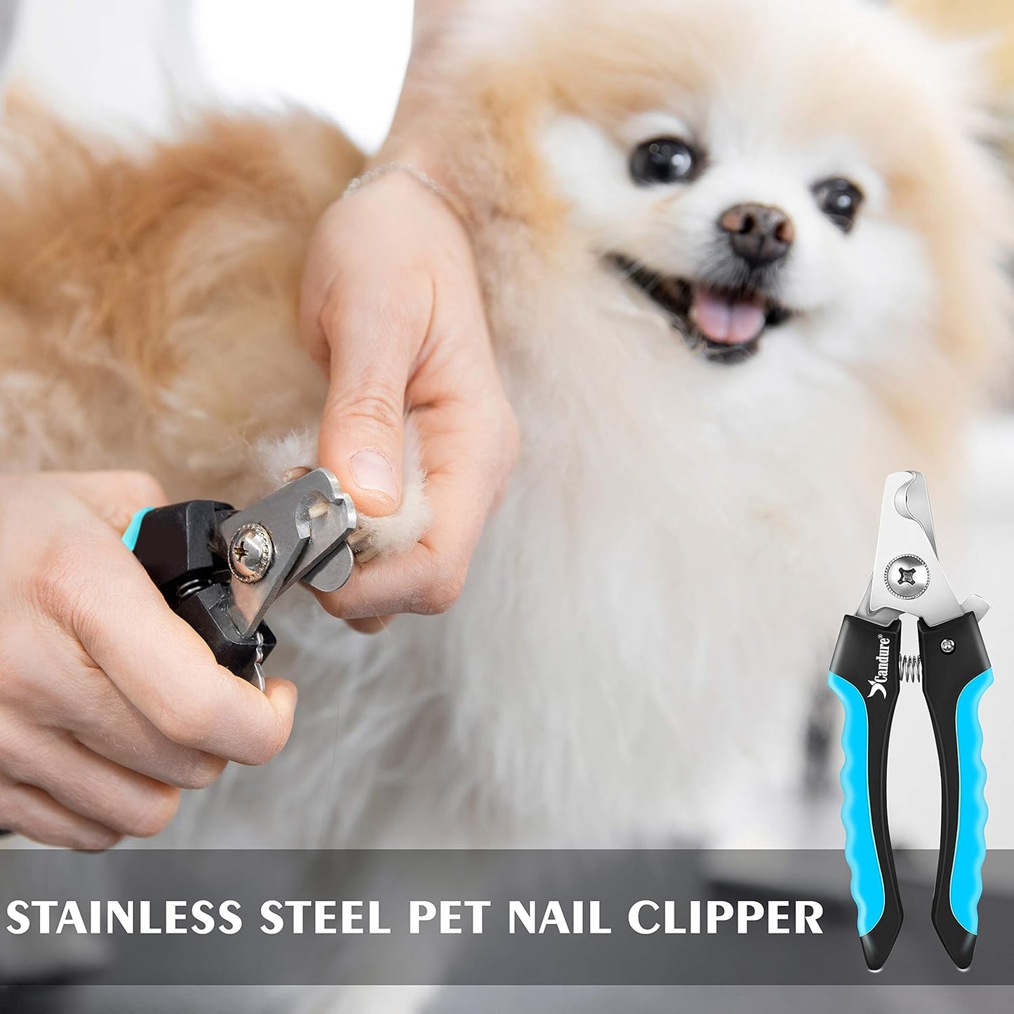 PET NAIL CUTTER WITH FILLER
