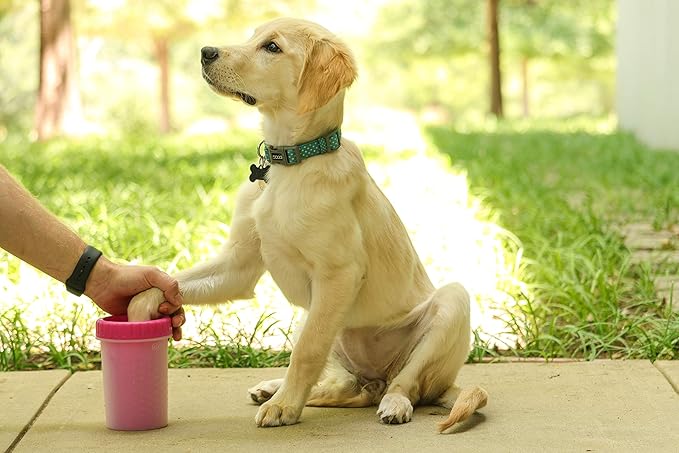 PAW CLEANER FOR DOG AND CAT