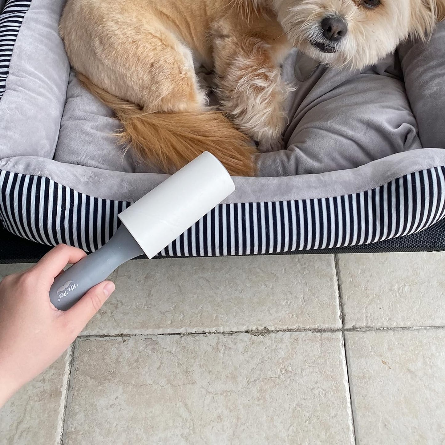STICKY BRUSH