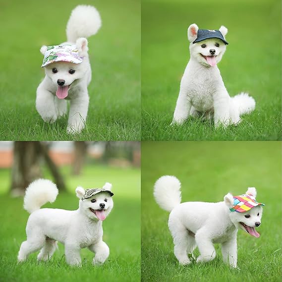Pet Hats