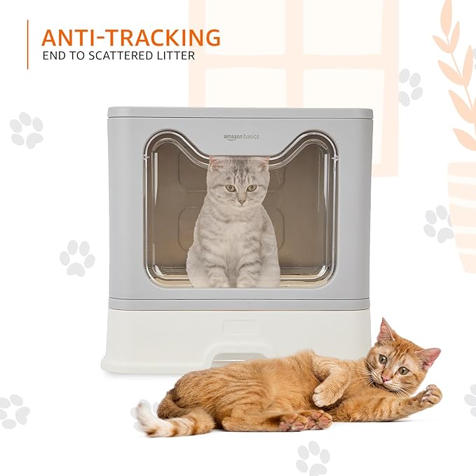 Basics Foldable Covered Cat Litter Box with Anti-Spill Tray | Easy Cleaning | Spacious Design | Top and Side Openings