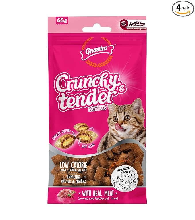 Gnawlers Crunchy & Tender Cat Treats 65g - Tasty Salmon & Milk Flavour (Pack of 1) Newly Launched,by DogsNCats