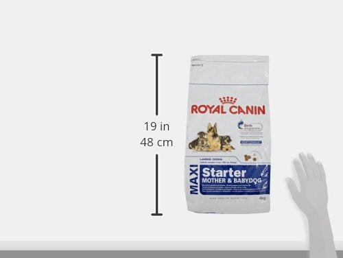 Royal Canin Maxi Starter, Mother & Babydog Food, 4 Kg, Dry Food, Supports Complex Natural Defence & digestive health, Provides Gestation/Lactation Support, Supports Easy rehydration