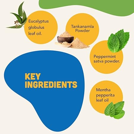 Natural Remedies Reliflam Itch & Redness Relief Spray for Dogs, Cats, Lick Safe, Reduces Hair Fall, Moisturizes Dry Skin, All-Natural Ingredients, Pet Friendly, Allergy Relief, Skin Soothing, 75ml