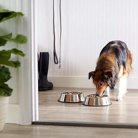 Stainless Steel Non-Skid Pet Dog Water And Food Bow Large Size