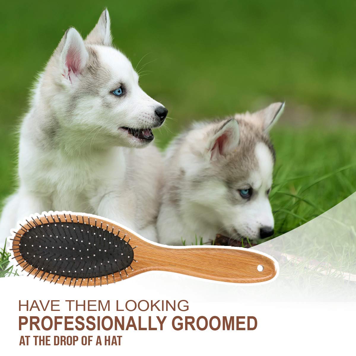 WOOD BRUSH FOR PETS