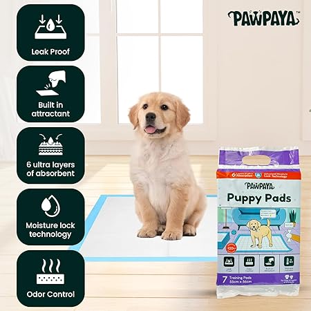 Training Pads for Dogs & Puppies | Ultra Absorbent Leak-Proof Pee Pads | Quick-Dry with Odour Neutralizer | Indoor Potty Training Pads for All Breeds | 7 Pads Each, Pack of 1