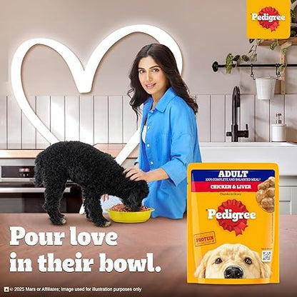Pedigree Adult Wet Dog Food, Chicken & Liver Chunks in Gravy, 70 g (Pack of 30), Complete & Balanced Meal for Adult Dogs