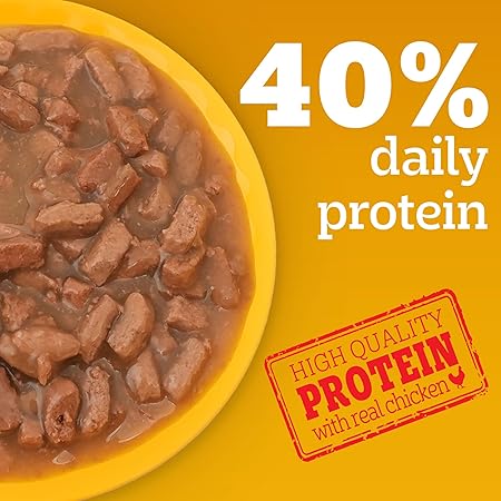 Pedigree Adult Wet Dog Food, Chicken & Liver Chunks in Gravy, 70 g (Pack of 30), Complete & Balanced Meal for Adult Dogs