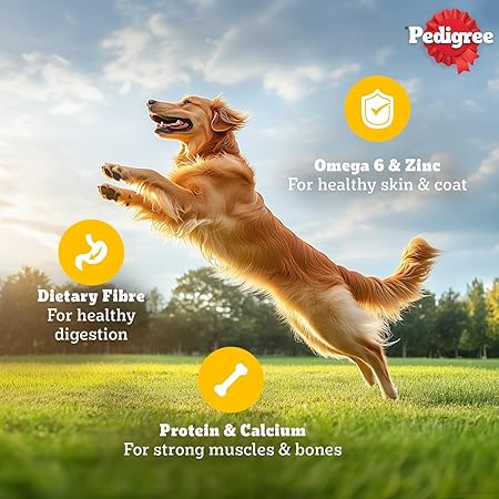 Pedigree Adult Wet Dog Food, Chicken & Liver Chunks in Gravy, 70 g (Pack of 30), Complete & Balanced Meal for Adult Dogs