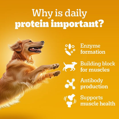 Pedigree Adult Wet Dog Food, Chicken & Liver Chunks in Gravy, 70 g (Pack of 30), Complete & Balanced Meal for Adult Dogs