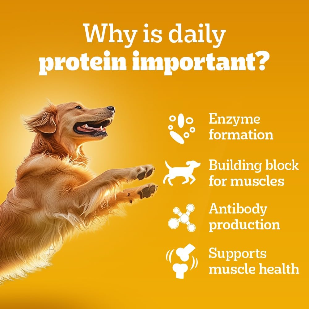 Pedigree Adult Wet Dog Food, Chicken & Liver Chunks in Gravy, 70 g, Complete & Balanced Meal for Adult Dogs