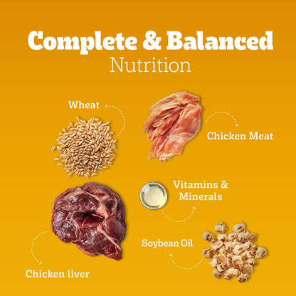 Pedigree Adult Wet Dog Food, Chicken & Liver Chunks in Gravy, 70 g (Pack of 30), Complete & Balanced Meal for Adult Dogs