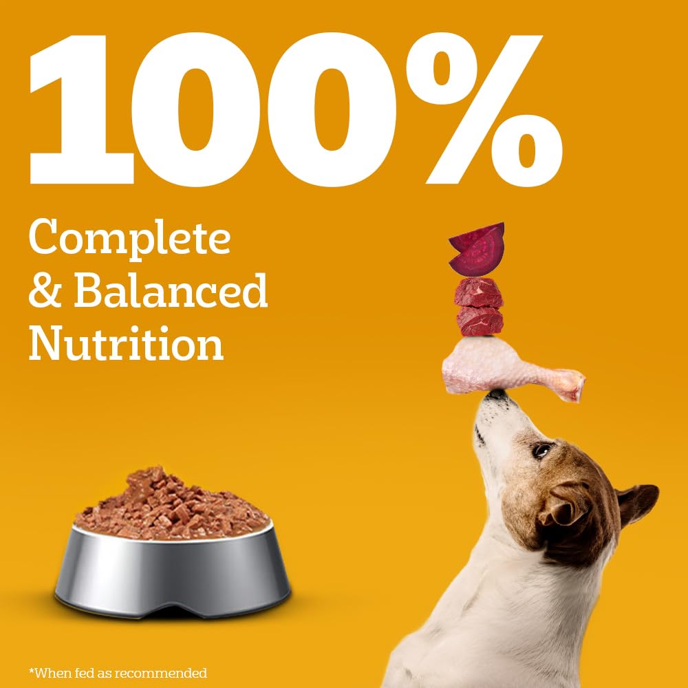 Pedigree Adult Wet Dog Food, Chicken & Liver Chunks in Gravy, 70 g (Pack of 30), Complete & Balanced Meal for Adult Dogs