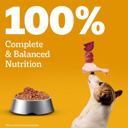 Pedigree Adult Wet Dog Food, Chicken & Liver Chunks in Gravy, 70 g (Pack of 30), Complete & Balanced Meal for Adult Dogs