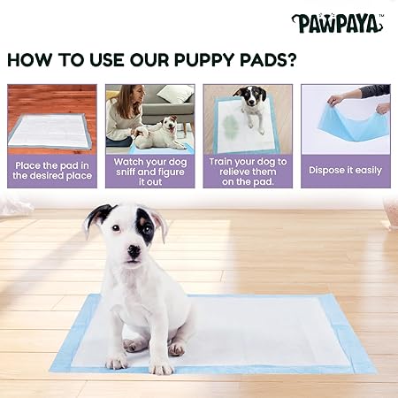 Training Pads for Dogs & Puppies | Ultra Absorbent Leak-Proof Pee Pads | Quick-Dry with Odour Neutralizer | Indoor Potty Training Pads for All Breeds | 7 Pads Each, Pack of 1