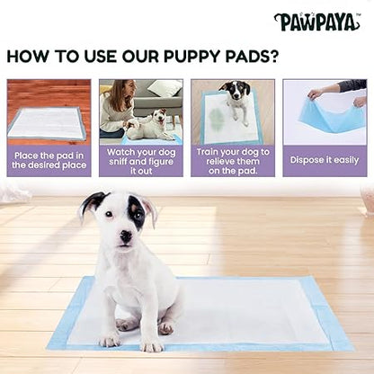 Training Pads for Dogs & Puppies | Ultra Absorbent Leak-Proof Pee Pads | Quick-Dry with Odour Neutralizer | Indoor Potty Training Pads for All Breeds | 7 Pads Each, Pack of 1
