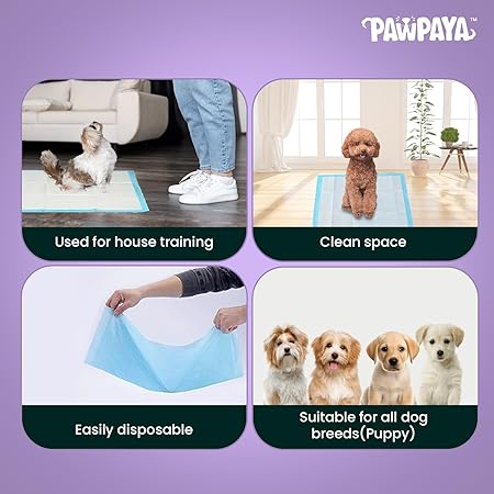 Training Pads for Dogs & Puppies | Ultra Absorbent Leak-Proof Pee Pads | Quick-Dry with Odour Neutralizer | Indoor Potty Training Pads for All Breeds | 7 Pads Each, Pack of 1