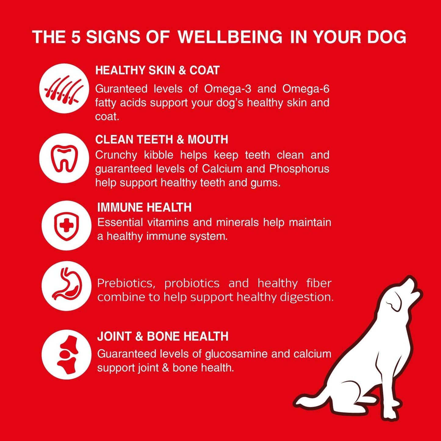 BAIRO Meat and Rice Adult 1.1 kg Pack Dry Dog Food Complete and Balanced Nutrition for All Dogs, Protein and Essential Nutrients for Optimal Health