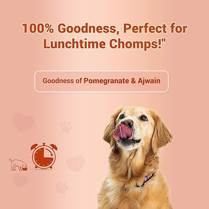 Treat O'CLOCK - Chicken & Egg Treats - Lunch Time Snack - for Dogs, Cats & Pups of All Breeds - 75 g