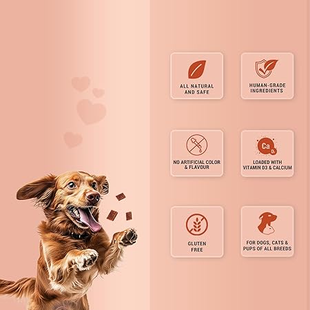 Treat O'CLOCK - Chicken & Egg Treats - Lunch Time Snack - for Dogs, Cats & Pups of All Breeds - 75 g