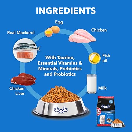 Drools Kitten Dry Cat Food, Mackerel Flavour 1 kg with Free Container Pack