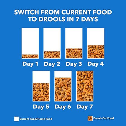 Drools Kitten Dry Cat Food, Mackerel Flavour 1 kg with Free Container Pack