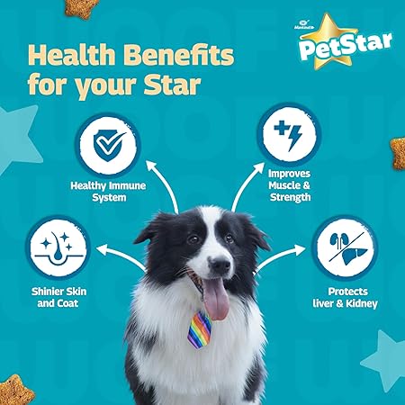 Mankind Petstar Adult Dry Dog Food (High Protein) Chicken & Wheat Flavor, 1kg (Pack of 2)| Improves Muscle & Strength, Supports Immunity, Protects Liver & Kidney