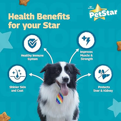 Mankind Petstar Adult Dry Dog Food (High Protein) Chicken & Wheat Flavor, 1kg (Pack of 2)| Improves Muscle & Strength, Supports Immunity, Protects Liver & Kidney