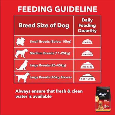 Drools Dry Dog Food Adult, Chicken and Egg Flavor 1.2Kg Pack