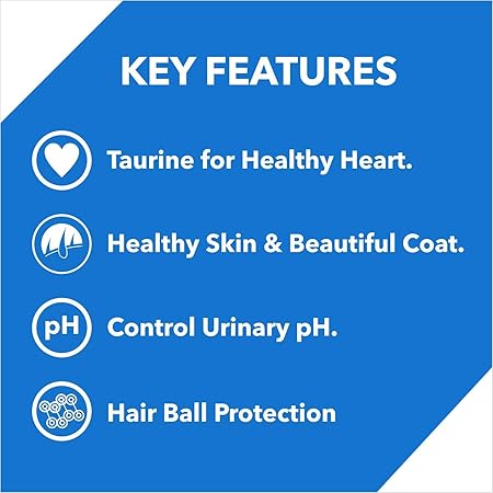 Drools Adult(+1 year) Dry Cat Food, Ocean Fish, 3 kg