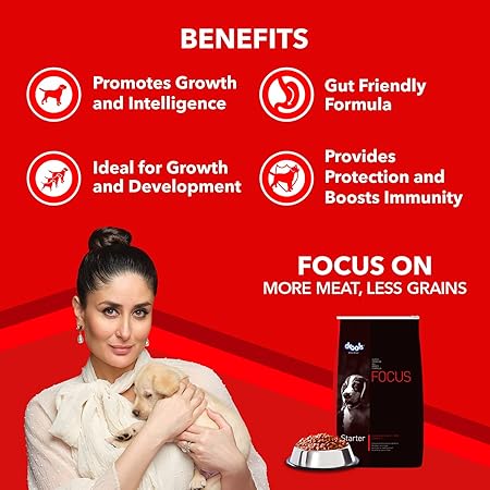 Drools Focus Adult Super Premium Dog Food, 1.2kg