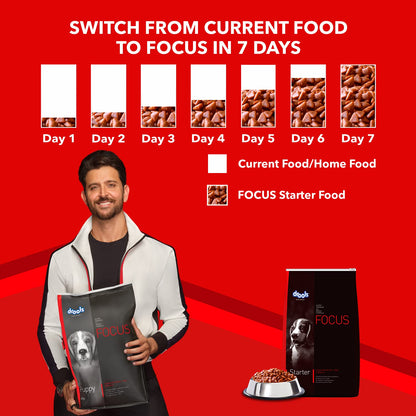 Drools Focus Adult Super Premium Dog Food, 1.2kg