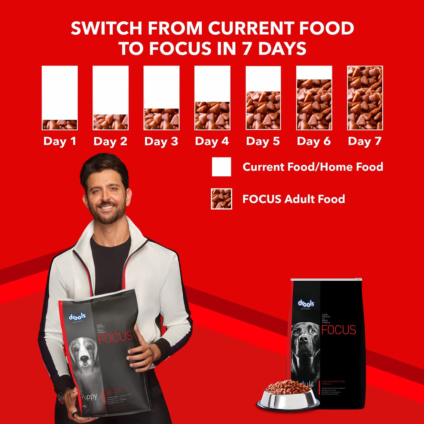 Drools Focus Adult Super Premium Dry Dog Food, Chicken, 4kg