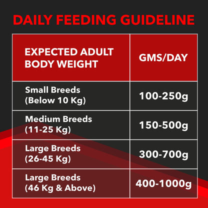 Drools Focus Puppy Super Premium Dry Dog Food, Chicken, 4kg