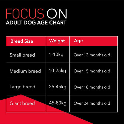Drools Focus Starter Super Premium Dry Dog Food, Chicken Flavour, 4kg