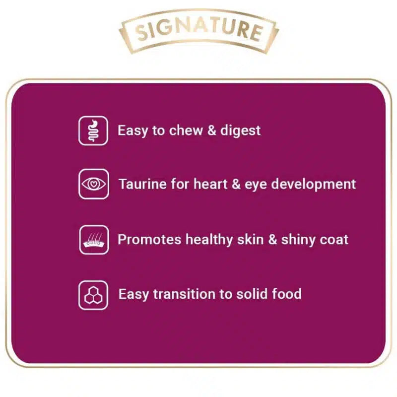 Signature Grain Zero 1.2kg all breed Mother & Kitten food