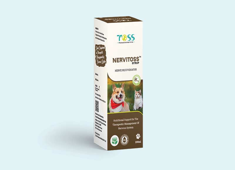 NERVITOSS SYRUP NERVE REJUVENATOR 200 ML