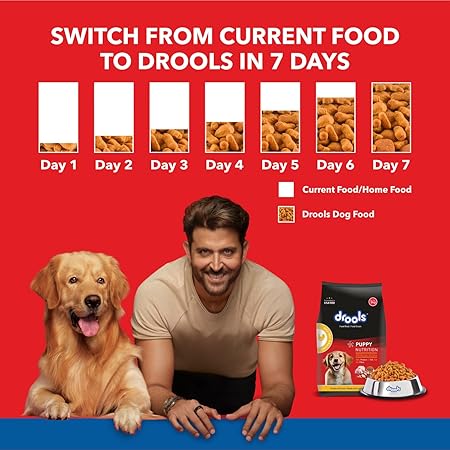 Drools Puppy Dry Dog Food, Chicken and Egg Flavor 1.2Kg Pack