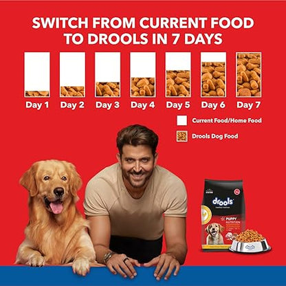 Drools Puppy Dry Dog Food, Chicken and Egg Flavor 1.2Kg Pack