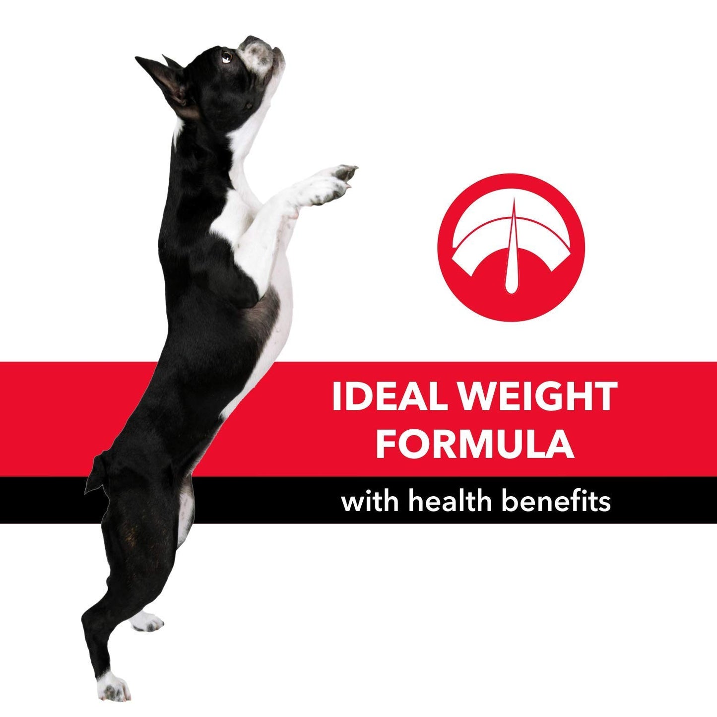 Purepet Chicken & Vegetable Adult Dry Dog Food, 20kg