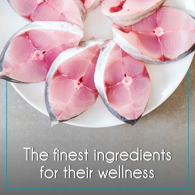 Purepet Cat Adult Dry Cat Food, Ocean Fish, 3Kg