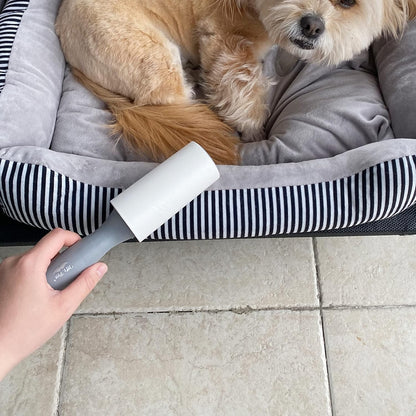 STICKY BRUSH