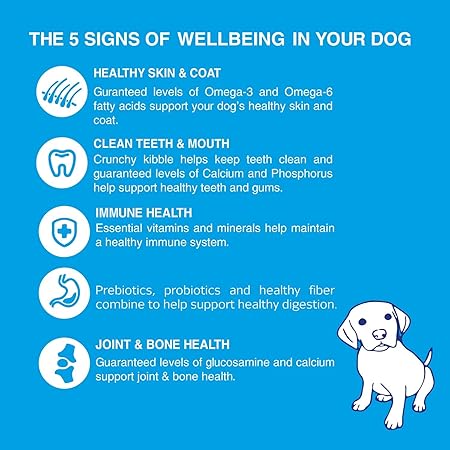 Bairo Puppy Dry Dog Food, 1.1kg Chicken and Milk Puppy Dog Food, 100% Complete & Balanced Food for Puppies, Protein and Essential Nutrients