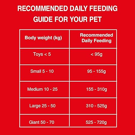 BAIRO Meat and Rice Adult 1.1 kg Pack Dry Dog Food Complete and Balanced Nutrition for All Dogs, Protein and Essential Nutrients for Optimal Health