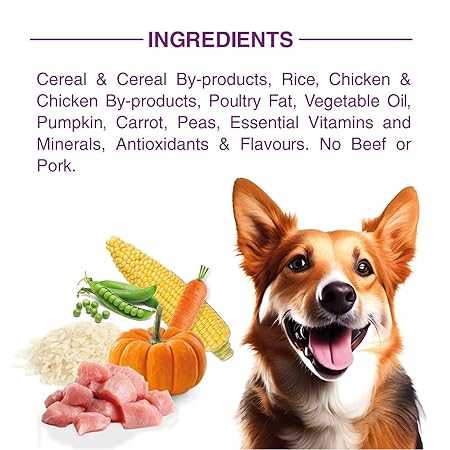 Bairo Chicken and Vegetable Adult Dog Food 3 Kg Pack Dry Dog Food, Complete and Balanced Nutrition for Adult Dogs, Protein and Essential Nutrients