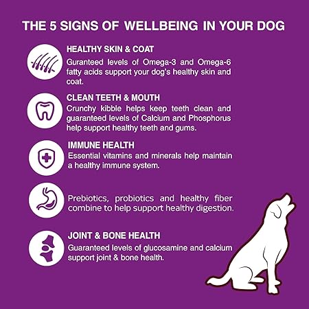 Bairo Chicken and Vegetable Adult Dog Food 3 Kg Pack Dry Dog Food, Complete and Balanced Nutrition for Adult Dogs, Protein and Essential Nutrients